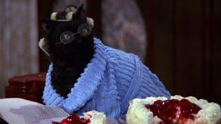 Salem Cheesecake