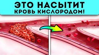 Это на 100% лучше, чем таблетки! Как улучшить состояние крови и насытить кровь кислородом, если...