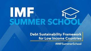 IMF Summer School: Debt Sustainability Framework for Low Income Countries (LIC DSFx)