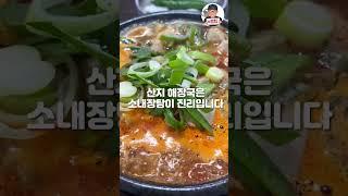 제주 1등 해장국 산지해장국 노형점 #shorts #제주맛집 #제주도