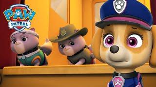 I cuccioli dell'Ultimate Rescue salvano i gattini reali! - PAW Patrol I cuccioli Episodi Italiano