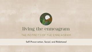 The Instincts of the Enneagram: Self-Preservation, Social and Relational