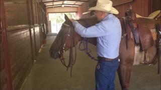 Dennis Moreland Tack: How to Correctly Hang a Bridle