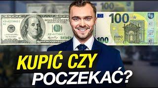 Dolary i Euro w 2024: Czas Kupować Teraz? Moje Prognozy Dla Walut Na II Kwartał!