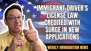 Immigrant driver's license law credited with surge in new applications | US IMMIGRATION NEWS