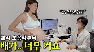 이건 쌍둥이인데요..? 말도 안 되는 배 크기에 당황한 원장님이 초음파 검사를 하더니 충격의 결과가ㅋㅋ