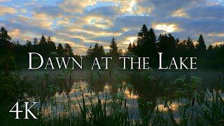 Dawn at the Lake - Beautiful Nature Ambience with Birdsong & Nature Sounds, 10 Hours, 4K UHD