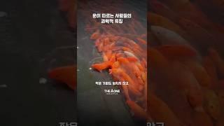 과학으로 밝혀진 운 좋은 사람의 3가지 특징 #관찰력 #행운 #기회포착 #행운의법칙 #리처드와이즈먼 #심리학실험 #운을부르는습관 #성공습관 #자기계발 #긍정마인드