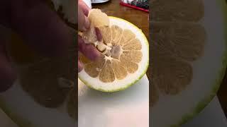 Taste test of New Zealand lemon and Oroblanco grapefruit