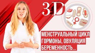 Менструальный цикл, гормоны, менструация. Лучшее видео.