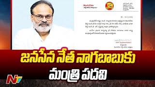 Minister Post To Nagababu | Pawan Kalyan | CM Chandrababu | Ntv