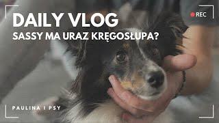 VLOG: CZY SASSY MA URAZ KRĘGOSŁUPA? ZNOWU WYLĄDOWALIŚMY U WETERYNARZA... | PAULINA I PSY