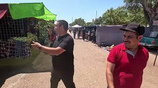 Comiendo en el tianguis de Navojoa Sonora que buen ambiente hay