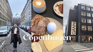 COPENHAGEN PT.2 | TRAVEL VLOG | Tivoli Gardens, Shopping & the best dinner at Delphine