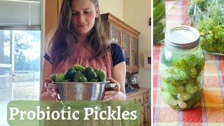 How I make my Fermented Pickles | LOW CARB | PALEO | HOMESTEADING