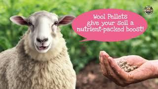 Wild Valley Farms is here with a game-changer - Wool Pellets!