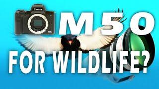 CANON M50 WILDLIFE PHOTOGRAPHY (IS IT ANY GOOD?)