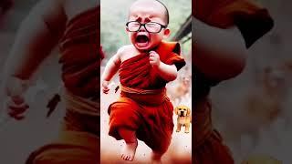 "Chuckle with the Little Monk!  #MonkHumor #TinyLaughs #ShortsFun"