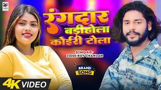 #Video | रंगदार बड़ीहोला कोइरी टोला | #Ziddi Boy Chandan | Rangdar Badi Hola Koiri Tola New Song 2023