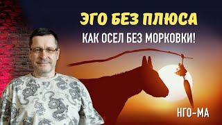 Эго без плюса, как осел без морковки!