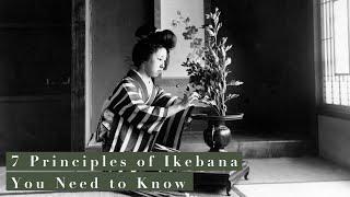 7 Principes Essentiels de l'Ikebana Expliqués | Arrangement Floral Japonais