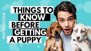 Things You Should Know Before Adopting a Puppy. || Monkoodog