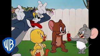 Tom & Jerry | Cuteness Overload! | Classic Cartoon Compilation | WB Kids