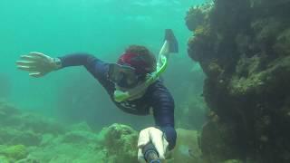 Christophe Point. St Kitts & Nevis (by Snorkeling Quest)