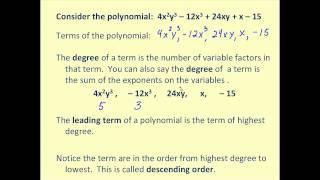 Introduction to Polynomials