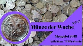 Münzen sammeln Teil 12 - Mongolei 500 Togrog 2018 - Wild Boar / Wildschwein