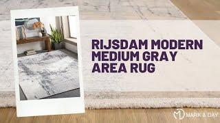 Rijsdam Modern Medium Gray Area Rug