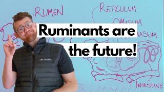 Ruminant Digestive System Explained | Rumen for the win!