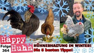 How to keep happy chickens in winter! 5 of my very best tips! ENGLISH SUBTITLE #keepingchickens