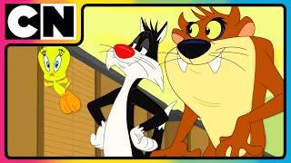 Looney Tunes | Madness You Can't Miss!  | Best Cartoon | Cartoon for Kids | @cnindia