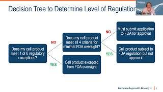 Understanding US FDA Regulatory Responsibilities for Cell Therapy Companies