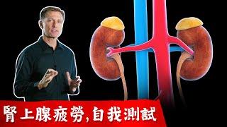 腎上腺疲勞的自我測試,9症狀與紓解壓力疲勞, 柏格醫生dr berg