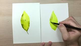 侯彥廷水彩教學Watercolor Tutorial EP1｜木漿紙與棉漿紙的差別 | Hou Yan-Ting