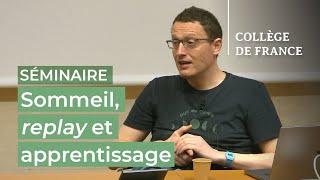 Sommeil, replay et apprentissage (6) - Stanislas Dehaene (2024-2025)