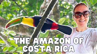 Tortuguero, The Amazon of Costa Rica? Toucans, Sendero Cerro Volcano & Tour Tortuguero Town!