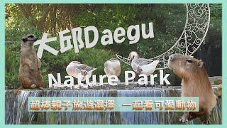 大邱自由行 超推薦景點！帶小朋友一起到大邱動物園 | Daegu Nature Park | 近距離跟可愛動物一起玩 | 韓國旅遊