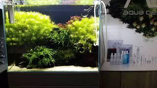 Aquariumshop de Maanvis Nijmegen Netherlands ADA cube garden 60-H 60x30x45 cm (lxwxh)