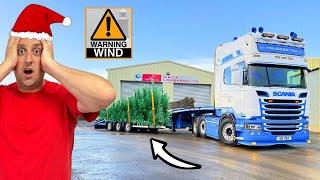 COLLECTING A *HUGE* XMAS TREE IN STORM DARRAGH | #truckertim