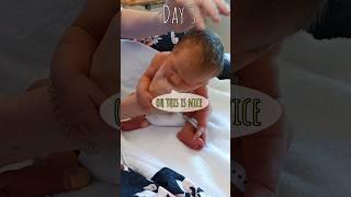 I'm on the way up (Day 3) #lucy #day3 #viralvideo #shorts