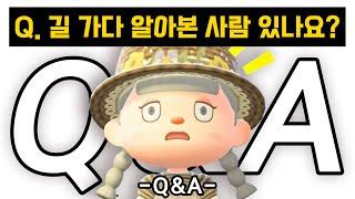 처음으로 솔직하게 다 말씀드리겠습니다 [아오니 Q&A]