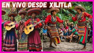 ️ Viva la tradición ️ ES HORA DE BAILAR HUAPANGO En VIVO DESDE XILITLA #771 20 DE OCTUBRE 2024!