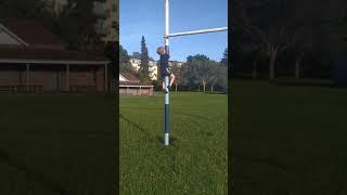 Redhead Monkey Traversing Rugby Posts