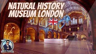 Natural History Museum I London I August 2023 I Idrees Mannan I VLog # 76