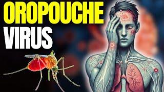 Oropouche Virus Fever: 2024 Outbreak & How to Protect Yourself!