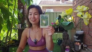A Love Letter to Yourself #healingtarot #bychloe #universe #higherself