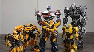 Why are there so many bumblebees stop motion